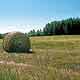 Hay Bale in Field Photograph